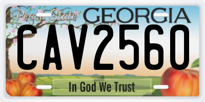 GA license plate CAV2560