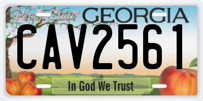 GA license plate CAV2561