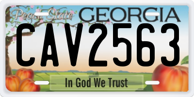 GA license plate CAV2563