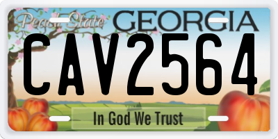 GA license plate CAV2564