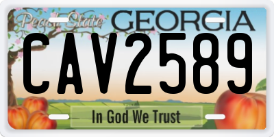 GA license plate CAV2589