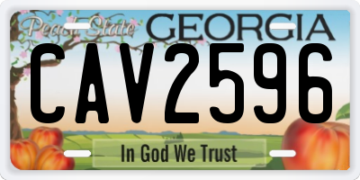 GA license plate CAV2596