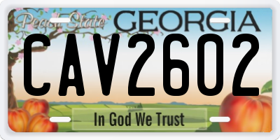 GA license plate CAV2602