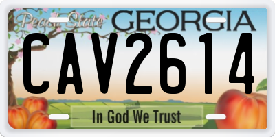 GA license plate CAV2614
