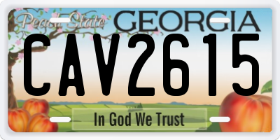 GA license plate CAV2615