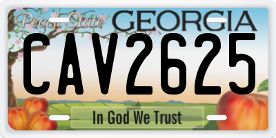 GA license plate CAV2625