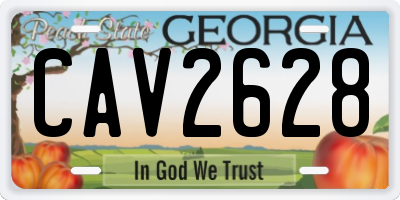 GA license plate CAV2628
