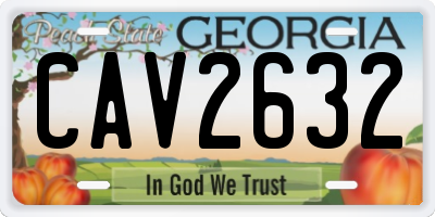GA license plate CAV2632