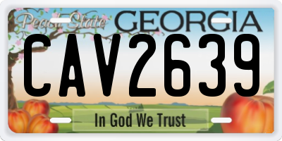 GA license plate CAV2639