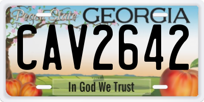 GA license plate CAV2642