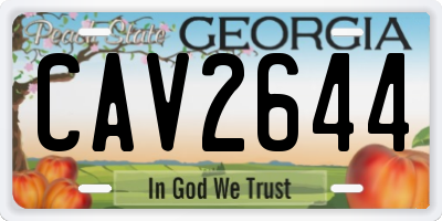 GA license plate CAV2644