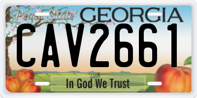 GA license plate CAV2661