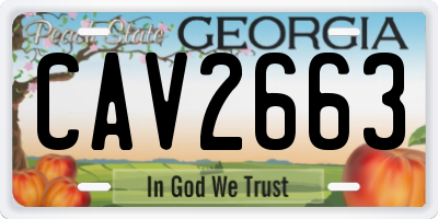 GA license plate CAV2663