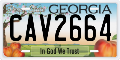 GA license plate CAV2664