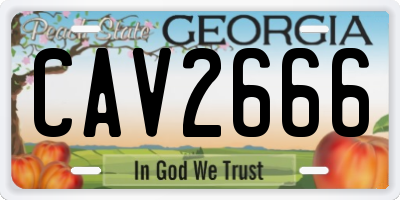 GA license plate CAV2666