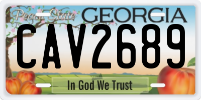 GA license plate CAV2689