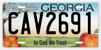 GA license plate CAV2691