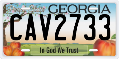 GA license plate CAV2733