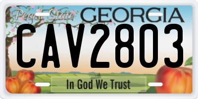 GA license plate CAV2803