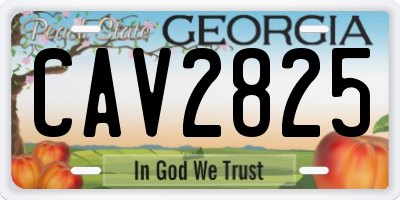 GA license plate CAV2825