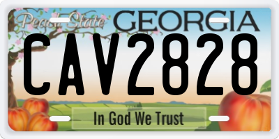 GA license plate CAV2828