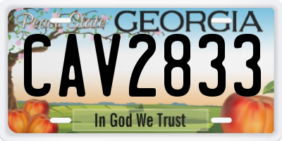 GA license plate CAV2833