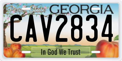 GA license plate CAV2834