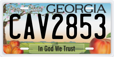 GA license plate CAV2853