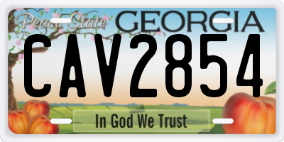 GA license plate CAV2854