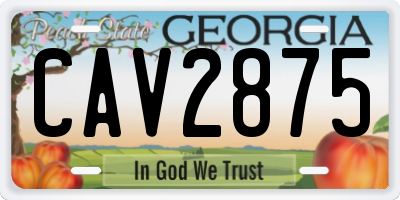 GA license plate CAV2875