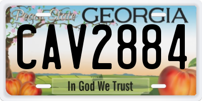 GA license plate CAV2884