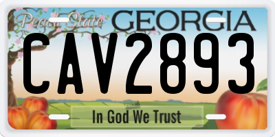 GA license plate CAV2893
