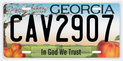 GA license plate CAV2907