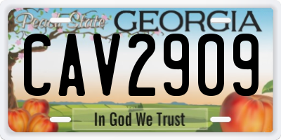 GA license plate CAV2909