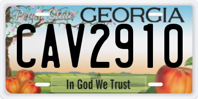 GA license plate CAV2910