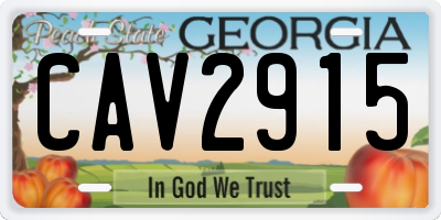 GA license plate CAV2915
