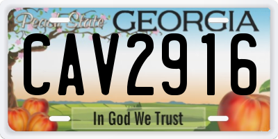 GA license plate CAV2916