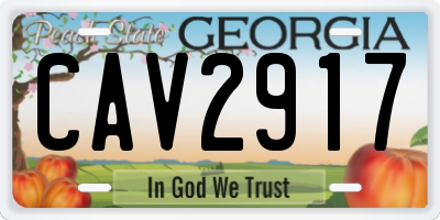 GA license plate CAV2917