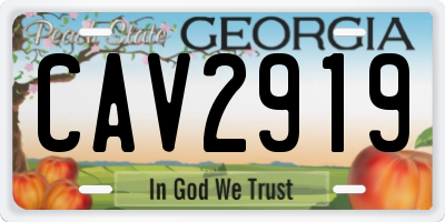 GA license plate CAV2919