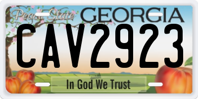 GA license plate CAV2923