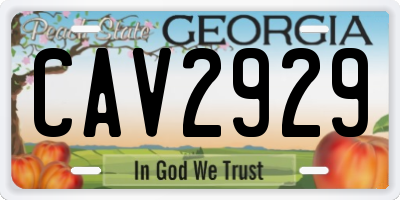 GA license plate CAV2929