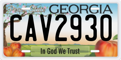 GA license plate CAV2930
