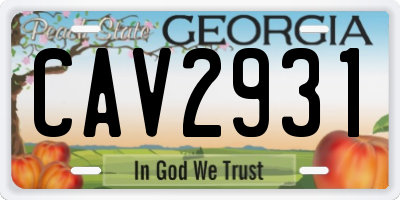 GA license plate CAV2931