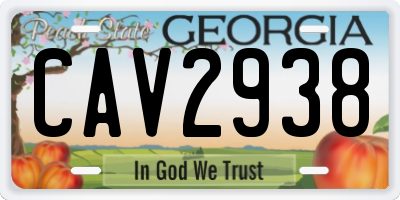 GA license plate CAV2938