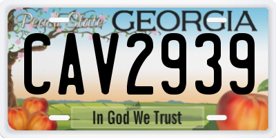 GA license plate CAV2939