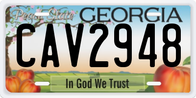 GA license plate CAV2948