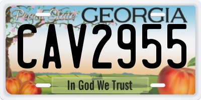 GA license plate CAV2955