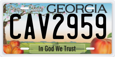 GA license plate CAV2959