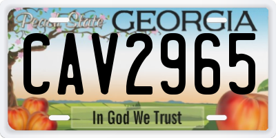 GA license plate CAV2965
