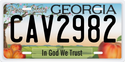 GA license plate CAV2982